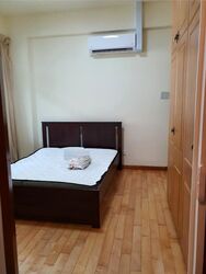 Changi Green (D16), Condominium #501775801